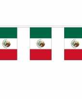 Mexicaanse 2x polyester vlaggenlijn van mexico 3 meter